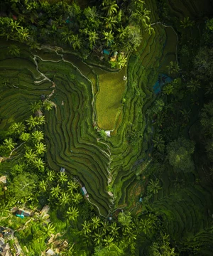 Kerala