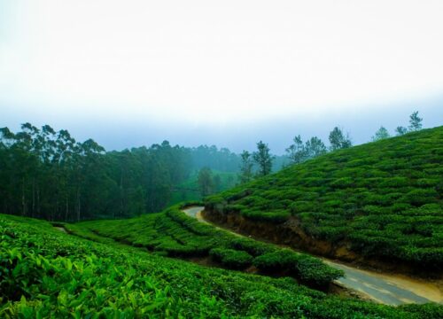 Explore The Kerala