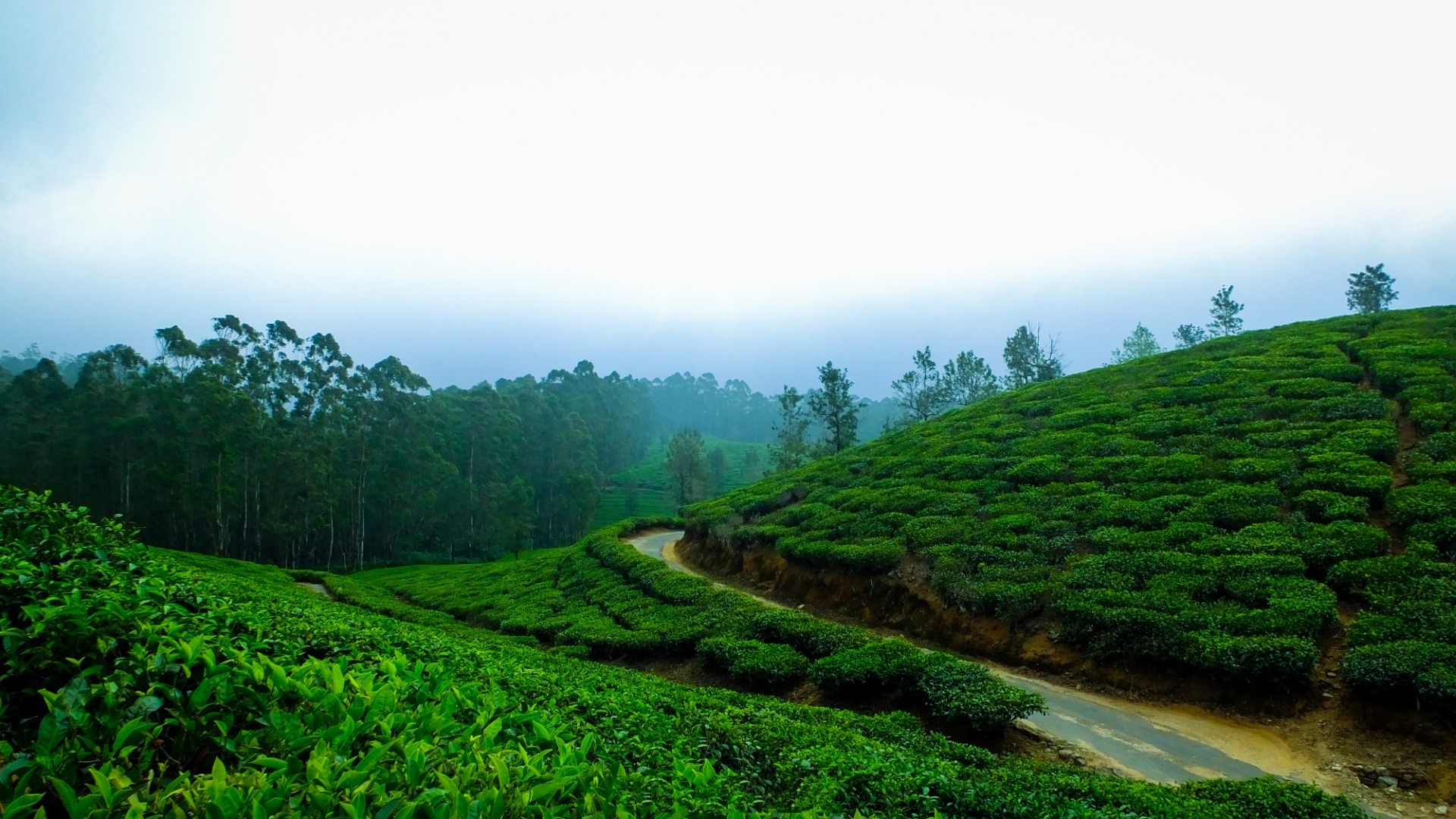 Explore The Kerala