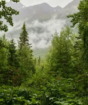 Mhabaleshwer