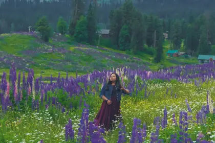 Explore The Gulmarg